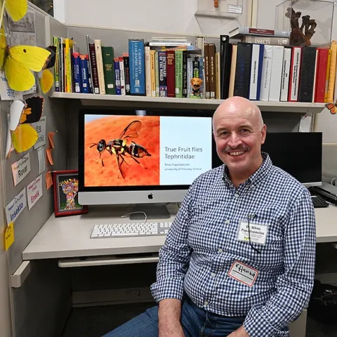 Tephritid fruit fly expert Nikos Papadopoulos of Greece showed a video on tephritid flies at the Bohart Museum of Entomology. He did postdoctoral work at UC Davis. (Photo by Kathy Keatley Garvey)