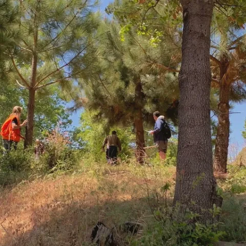UCCE Forestry Advisor Susie Kocher leads Forest Stewardship workshop participants during a field day. Photo credit: Kim Ingram.