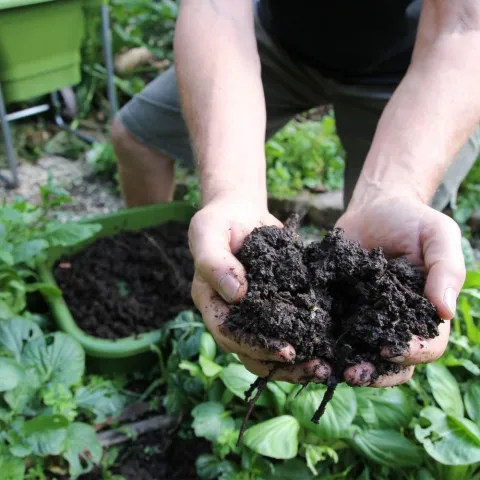 the-best-compost-bin-hungry-bin-911576_1946x