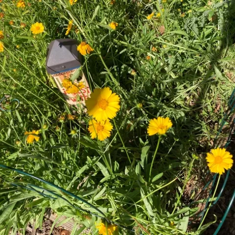 photo by Michelle Davis