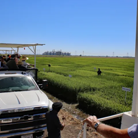Rice researchers are introducing growers and other interested parties the research in progress at the RES.