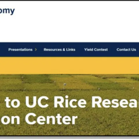 UC Rice Website