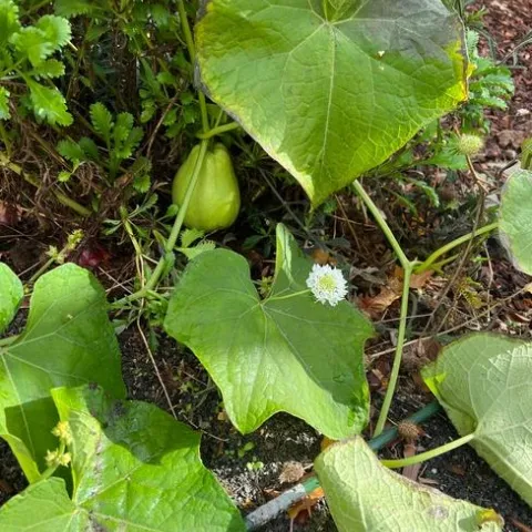 photos by Erin Mahaney