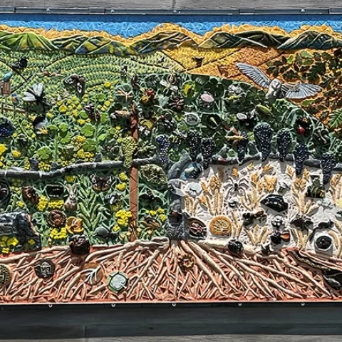 This is the finished project, "The Secret Life of Vineyards," installed at the Matthiasson Winery, Napa. (Photo by Diane Ullman)