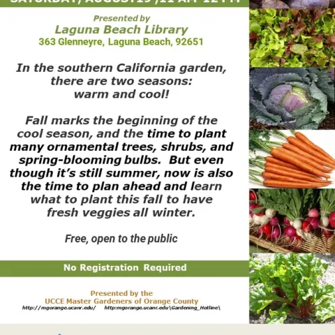 Fall into Action: Prep Your SoCal Garden for Cooler Months