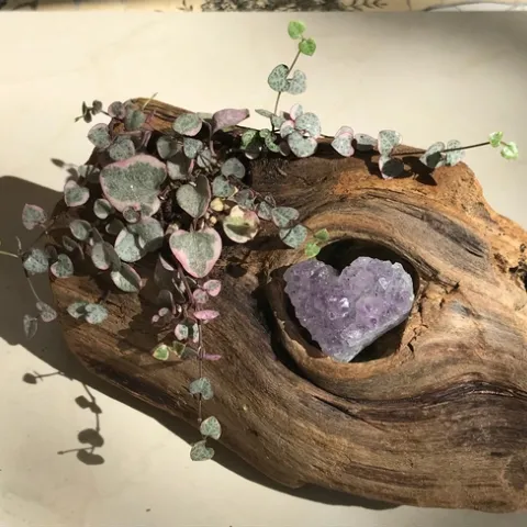 Photo by Megan Edwards