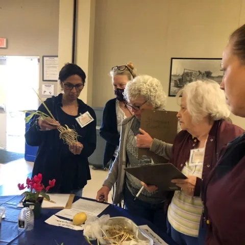 Four people standing around a table, one person is holding a plant and examining the roots.