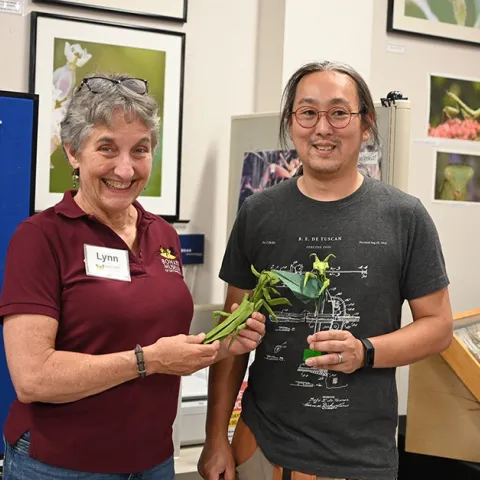 For the Bohart Museum open house on praying mantises, Kevin Murakoshi of Davis crafted these intricate origami praying mantises. With him is UC Davis distinguished professor Lynn Kimsey, director of the Bohart Museum. Murakoshi, a UC Davis alumnus and former UC Davis employee (computer research specialist), is the principal solutions architect at Amazon Web Services. (Photo by Kathy Keatley Garvey)