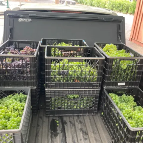 Photo by Greg Letts.