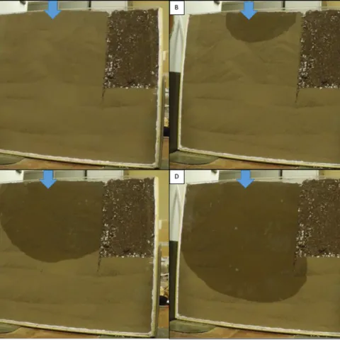 water movement all together