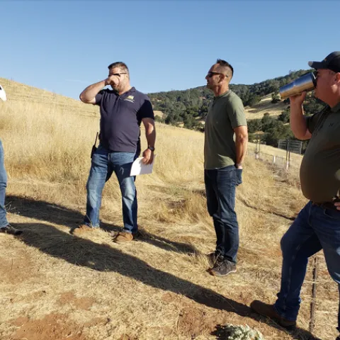 Four men stand in a dry pasture