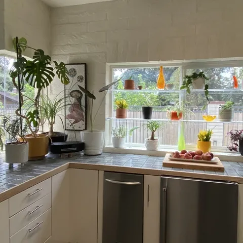 Small sized houseplants in a kitchen window.