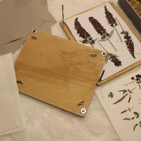 2023 Fall FromtheGarden01