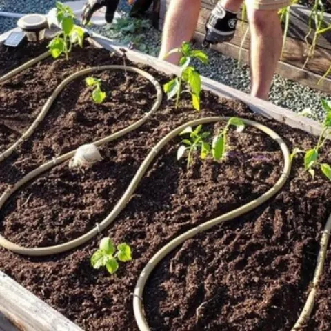 2023 Fall WaterConservation01