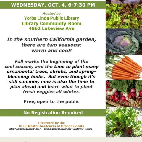 Planting for Perfection: Your Guide to Southern California's Cool Season