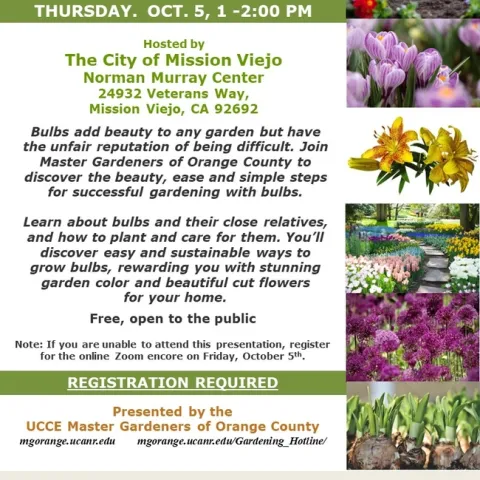 Busting the Myth: Easy and Beautiful Bulb Gardening Unveiled!