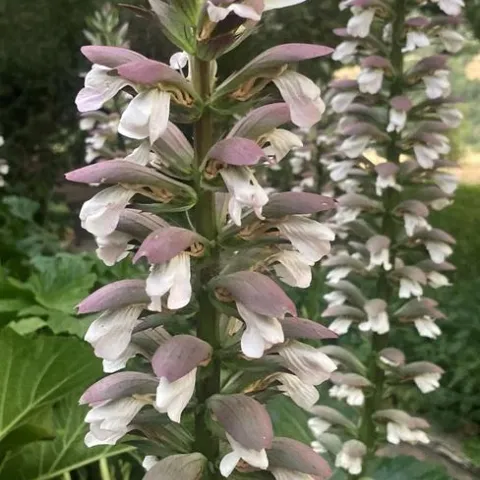 Photo by Jutta Thoerner