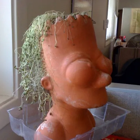 Chia Bart - Stephanie