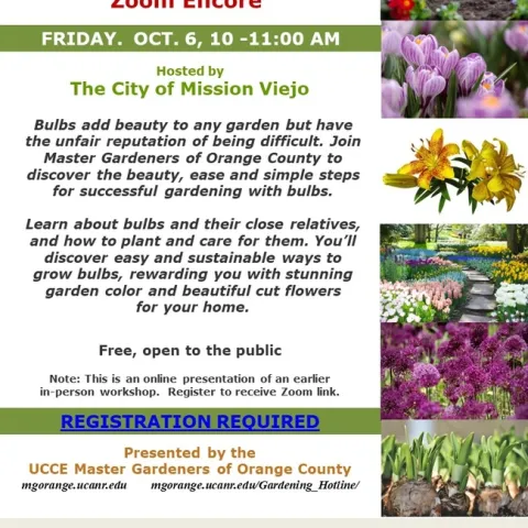 Unlock the Secrets of Effortless Bulb Gardening: Join Our Zoom Encore!