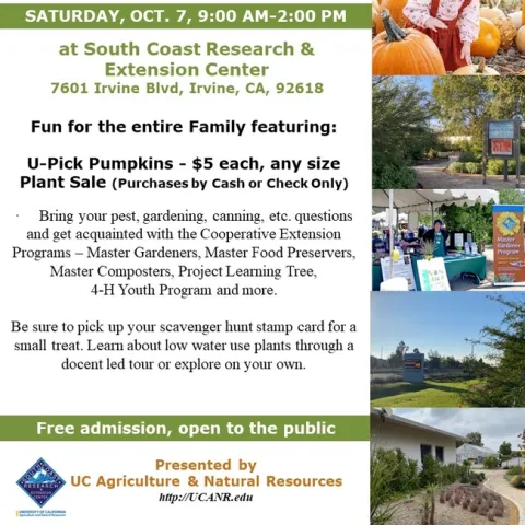 Family Fun Awaits: U-Pick Pumpkins, Plant Sale, and More!