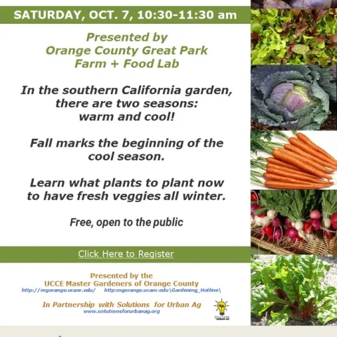 Sow and Reap: Your Guide to Cool Season Vegetables in SoCal!