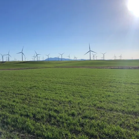 Rio Vista Trial Area