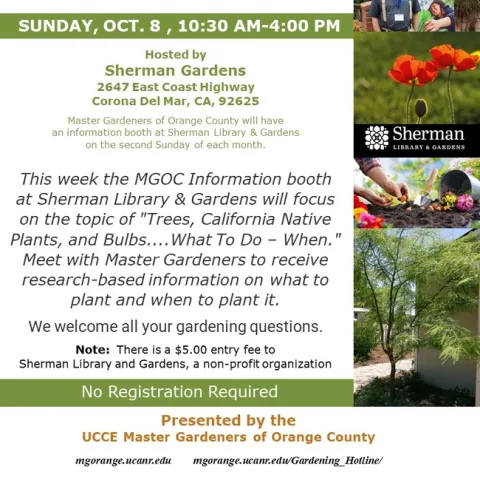 Sunday Funday: Dive into Gardening Wisdom at Sherman Library & Gardens!