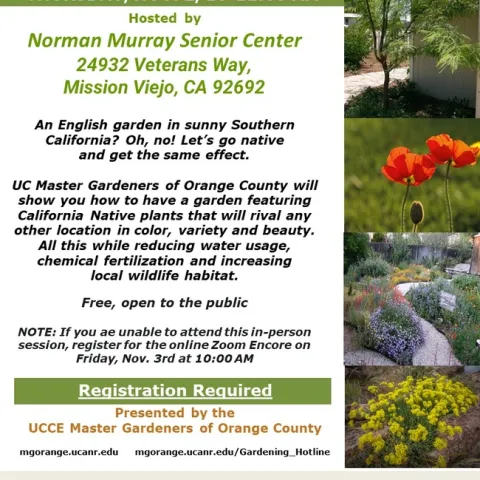 Blossom with Nature: Cultivate a Stunning Native Plant Garden!