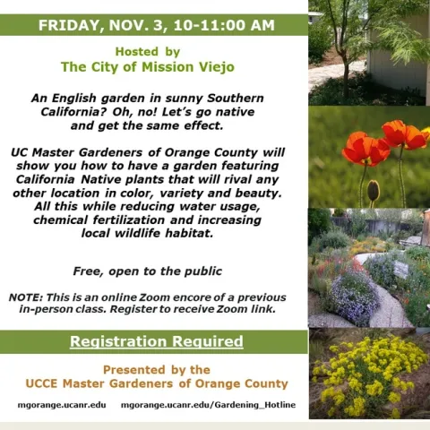 Sustainable Beauty: Dive into Native Plants with UC Experts!