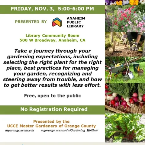 Effortless Excellence: Transform Your Garden Expectations!