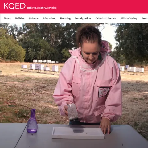 A screen shot of UC Davis bee scientist Elina Lastro Niño from KQED's Deep Look video, "Varroa Mites Are a Honeybee's 8-Legged Nightmare."