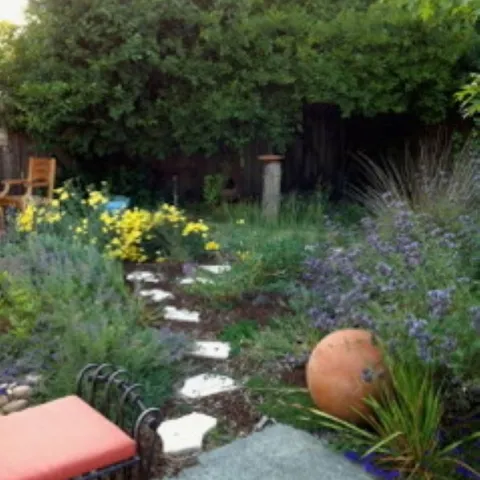 Photo credit Peggy McConnell 4