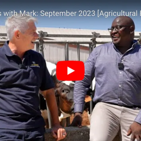 Mark Stetter and Emmanuel Okello lean on a pen of cows.