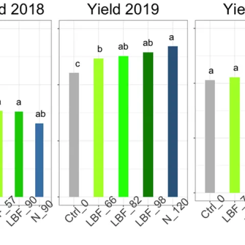 Yield 2018,2019,2021