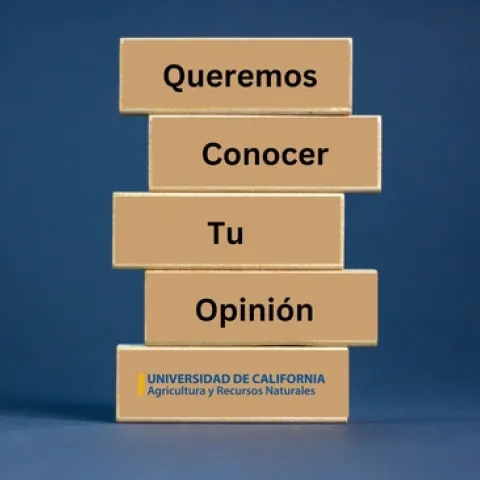 queremos conocer tu opinion