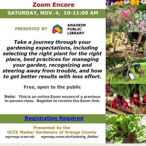 Cultivate Success: Exclusive Insights in 'The Thoughtful Gardener' Zoom Encore!