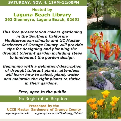 Drought-Defying Gardens: Design, Plant, and Thrive in Southern California