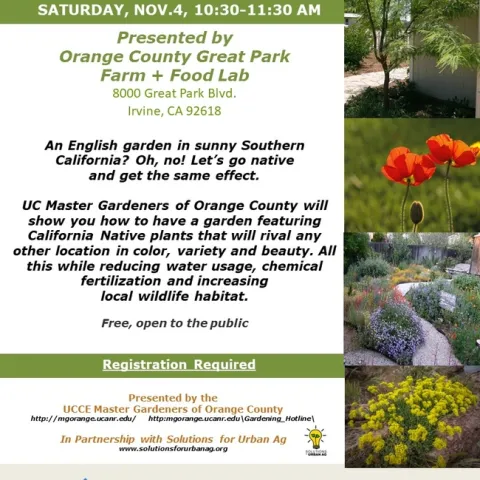 Wild Beauty, Wise Choices: California Natives in Your Garden Journey