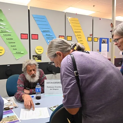UC Davis distinguished professor emeritus Art Shapiro explains some of his research documentation at the Bohart Museum of Entomology open house on monarchs. (Photo by Kathy Keatley Garvey)