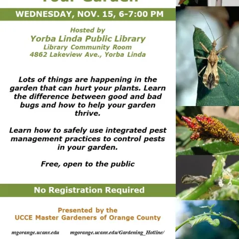 From Menace to Harmony: Mastering Pest Management in Your Garden!