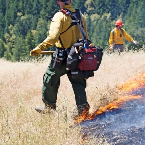 Firefighter stands near burning grasses of a prescribed fire