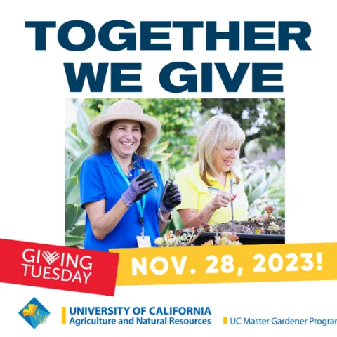 #GiveBack to Grow Forward with UC Master Gardeners on Giving Tuesday!