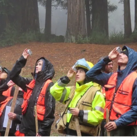 Forest Stewardship Workshop participants practice measuring tree heigh with a clinometer. Credit: G.Dean