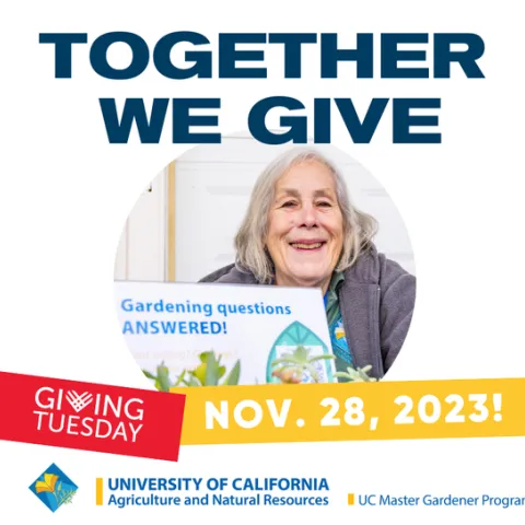Giving Tuesday is tomorrow, will you join us?