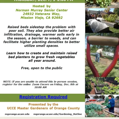 Beds Above the Rest: Your Passport to Year-Round Veggie Abundance