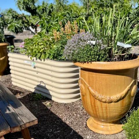 garden-to-glass Monique Frappier