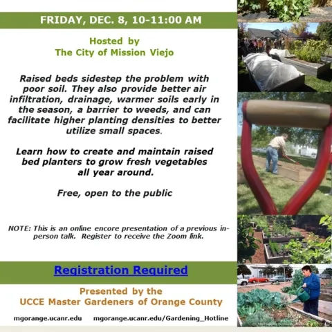 Zoom Encore: Dive into the World of Raised Beds – Transform Your Garden, Transform Your Life