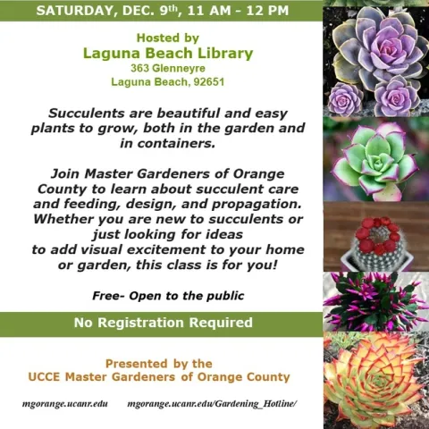 Succulent Mastery Unleashed: Learn, Create, and Grow with Master Gardeners