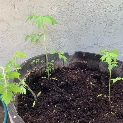 photos by Jennifer Ward