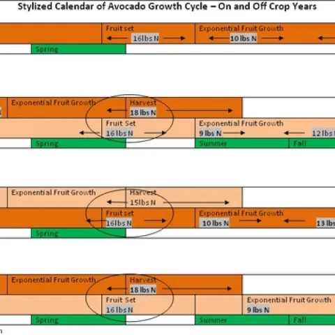 stylized N application On and Off year